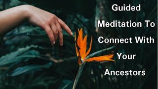 Guided Meditation To Connect With Your Ancestors [upl. by Israel]