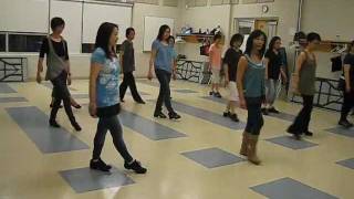 For Your Entertainment  line dance dance amp walk through [upl. by Gelb771]