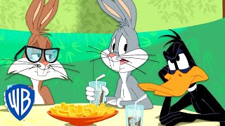 Looney Tunes en Latino  El nuevo amigo de Bugsy  WB Kids [upl. by Yssirk]