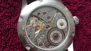 Glycine Incursore Slow Motion HD [upl. by Oniger]