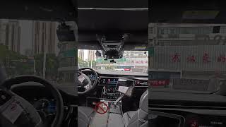 Driverless Taxi Robotaxi Baidu Apollo Go Experience in Wuhan Hubei China robotaxi [upl. by Gaves924]