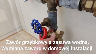 Zawór grzybkowy a zasuwa wodna Wymiana zaworu w domowej instalacji [upl. by Zubkoff407]