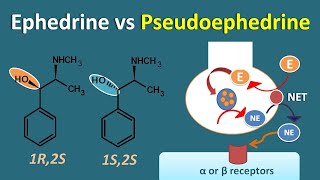 Ephedrine vs Pseudoephedrine  Similarities and differences [upl. by Uon119]