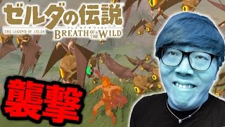 【ゼルダの伝説】ついに空飛んで外の世界いったらめちゃ襲われたwww ヒカキンのゼルダの伝説ブレスオブザワイルド実況 Part4 [upl. by Florio854]