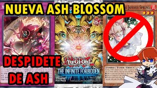 La Nueva Ash Blossom Dominus Purge Mejor Dile a Dios a Las Patas de Ash INFO YuGiOh TeamSetoX [upl. by Noach]