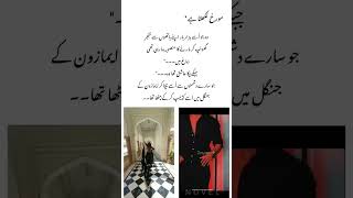 razz daar mohabbat by husny kanwal [upl. by Lebam]