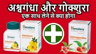 Ashvagandha and Gokshura Benefits  अश्वगंधा और गोक्षुरा एक साथ लेने के फायदे NUTRITION 99 [upl. by Ayeka]