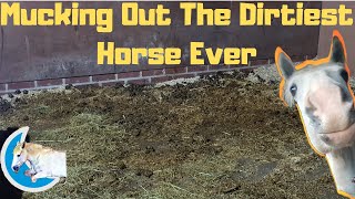 Mucking Out The Dirtiest Horse Ever  Moon Equestrian [upl. by Lowell]