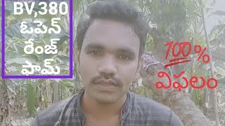 BV 380 open range నిజంగా సరైన సమాచారం [upl. by Anatole609]