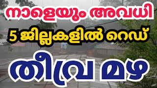 നാളെയും അവധി  5 ജില്ല റെഡ് alert kerala news kerala rain news today schoolholiday [upl. by Cedell]