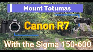 Canon R7 and the Sigma 150600 Lens on a trip to Mount Totumas Cloud Forest Resort in Panama [upl. by Novello766]