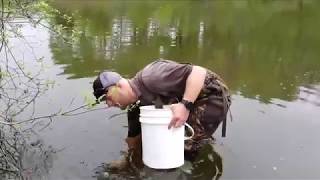 Wisconsin Mussel Monitoring Program  Part 1 [upl. by Daniala]