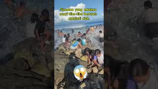 Ribuan ikan menyerbu pantai fish shortvideo fishing [upl. by Eelrahs]