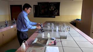 Class 11 Zoology practical part 5 [upl. by Copp156]