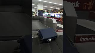 Delhi airport baggage conveyor belt [upl. by Lowe]