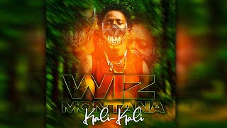 WIZ MONTANA  KALIKALI Son Officiel [upl. by Oruam]