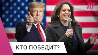 Выборы в США Трамп vs Харрис За кого проголосуют американцы [upl. by Nosiddam837]