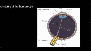 lecture 23 part 1 The human eye [upl. by Idalina]