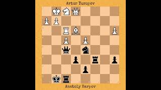 Yusupov vs Karpov  Candidates Match 1989 chess [upl. by Latty]