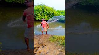 Ringnet fishing Shorts Trending trends viralvideos [upl. by Corissa]