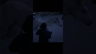 Ubicación Caballo Árabe Blanco reddeadredemption reddeadredemtion2 rdr2 arthurmorgan location [upl. by Noryt]