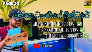 Filter system for oscar fish tank 😇✌ ඔසී ටැංකියේ ෆිල්ටරේ filtersystem oscar feeding [upl. by Mcguire]