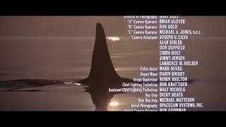 Free Willy 2 The Adventure Home trailer 1995 [upl. by Eatnhoj]