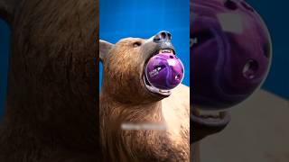 Grizzly Bear Jaw Strength 😨New Viral Gadgets Smart Appliances Home shorts gadgets [upl. by Rikahs885]