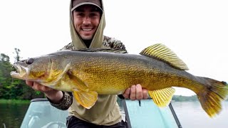 How to Target REALLY BIG Walleye This Summer [upl. by Nirra438]