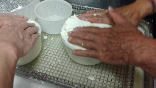 Making Pecorino Cheese [upl. by Loftis]