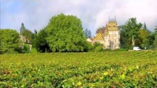 La Viticulture en France  French Wine and Provincial Life [upl. by Euv]