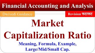 Market Capitalization Ratios in hindi Large cap Mid Cap Small Cap Financial Accounting Dwivedi [upl. by Urana]