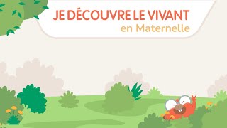 JE DÉCOUVRE LE VIVANT EN MATERNELLE  APPLICATION POUR LE CYCLE 1 [upl. by Settera]