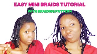 Mini Braids on Natural Hair 4c No Extensions  Mini Braids For Hair Growth minibraids naturalhair [upl. by Nauaj]