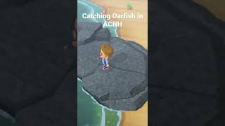 Catching oarfish in Animal Crossing New Horizons [upl. by Aissert556]