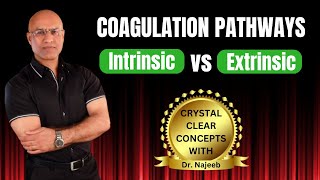 Intrinsic and Extrinsic Pathway of Coagulation  Hematology👨‍⚕️ [upl. by Dunkin146]