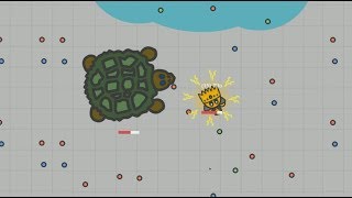 Fightzio Level 15 Vs Tortoise [upl. by Normand711]