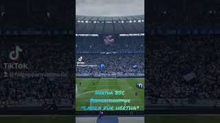 quotLAOLA FÜR HERTHAquot Sondertorhymne Original hertha herthabsc laola berlin music bundesliga 1k [upl. by Harsho]