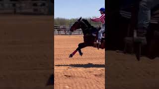 Riding My Horse Fast at a Horse Riding Event shorts horse animals [upl. by Wilser]