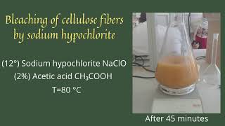 Bleaching of cellulose fibers by sodium hypochlorite [upl. by Hsitirb]