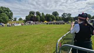 Balaklava Pipes And Drums at purple poppy event 030824 [upl. by Duyne]