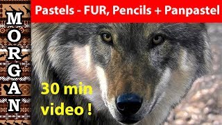 Painting Fur  Pastel Pencil and Panpastel Lesson wildlife art [upl. by Llerrej60]