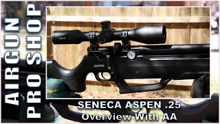 THE SENECA ASPEN 25 – OVERVIEW WITH AA [upl. by Atinuaj]