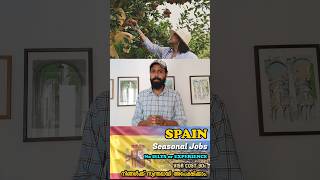 Unskilled Jobs Spain spain europe workpermit shorts ytfeed [upl. by Earlie]