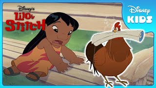 💃 Lilo’s Hula Quest Begins 🌺  Lilo and Stitch 2  Disney Kids [upl. by Lovell]