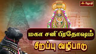 விதியை வெல்லும் சனி மகா பிரதோஷ வழிபாடு  Sani Pradosham பல்வேறு கோயில்களில் இருந்து  Jothitv [upl. by Airalav]