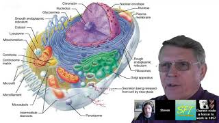 Pseudogenes ERVs Junk DNA amp Chromosome 2 Fusion DEBUNKED  Dr Kent Hovind vs Snake Was Right [upl. by Ennairek]