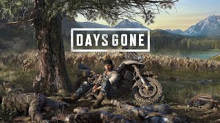 DAYS GONE  DAY 6  THE QATIL PLAYS [upl. by Jerrome]