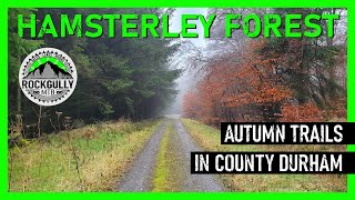 Hamsterley Forest Trails and Offpiste Mountain Biking 4K 2019 [upl. by Nohshan683]