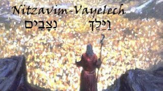 51a Nitzavim amp 52a Vayelech  Dvar Torah with deeper insights into the FUNDAMENTALS of our FAITH [upl. by Nosreve132]